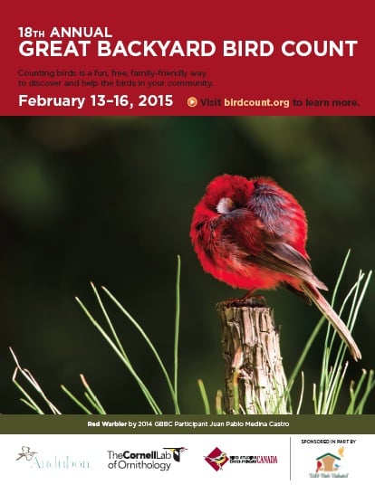 The Great Backyard Bird Count: February 13-16, 2015 ...