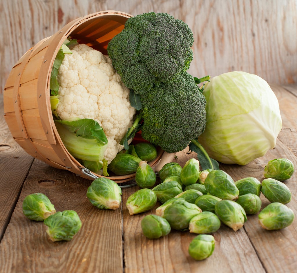 brassica brussels cauliflower broccoli